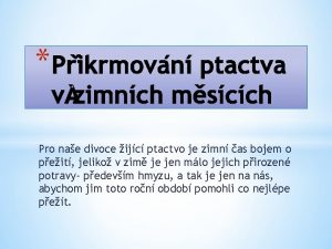 Pro nae divoce ijc ptactvo je zimn as