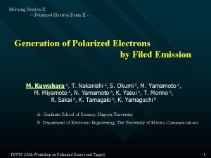Morning Session II Polarized Electron Beam II Generation