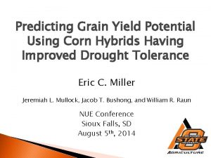 Predicting Grain Yield Potential Using Corn Hybrids Having