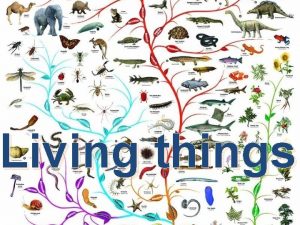 Living things What is a micro organism Microorganisms