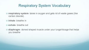 Respiratory System Vocabulary respiratory system takes in oxygen