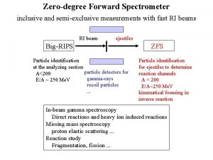 Zerodegree Forward Spectrometer inclusive and semiexclusive measurements with