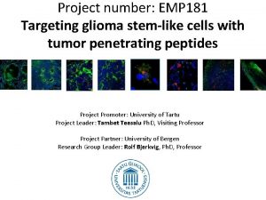 Project number EMP 181 Targeting glioma stemlike cells