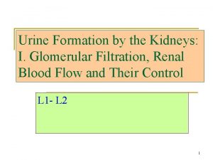 Urine Formation by the Kidneys I Glomerular Filtration