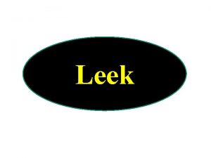Botanical name of leek