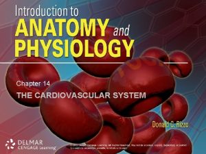 Chapter 14 THE CARDIOVASCULAR SYSTEM Introduction Cardiovascular system
