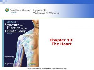 Chapter 13 The Heart Copyright 2013 Wolters Kluwer