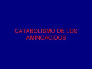 CATABOLISMO DE LOS AMINOACIDOS CATABOLISMO Sucede en 3
