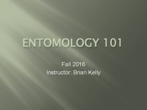 ENTOMOLOGY 101 Fall 2016 Instructor Brian Kelly Entomology