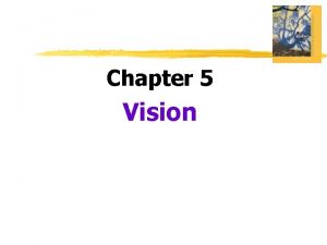 Chapter 5 Vision Vision Transduction conversion of one