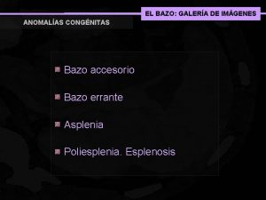 EL BAZO GALERA DE IMGENES ANOMALAS CONGNITAS Bazo
