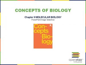 CONCEPTS OF BIOLOGY Chapter 9 MOLECULAR BIOLOGY Power