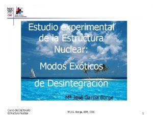 I E M CSIC Grupo de Fsica Nuclear