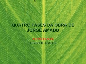 QUATRO FASES DA OBRA DE JORGE AMADO ALFREDO