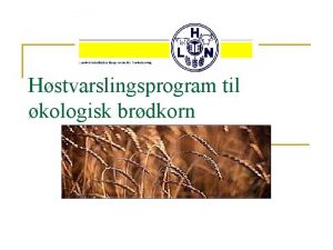 Hstvarslingsprogram til kologisk brdkorn Baggrund n n n