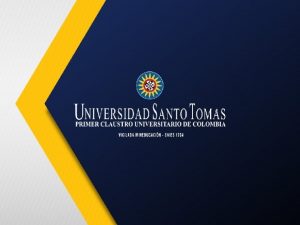 Universidad Santo Toms Sede de Villavicencio Vicerrectora Acadmica