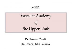Vascular Anatomy of the Upper Limb Dr Zeenat