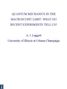 QUANTUM MECHANICS IN THE MACROSCOPIC LIMIT WHAT DO