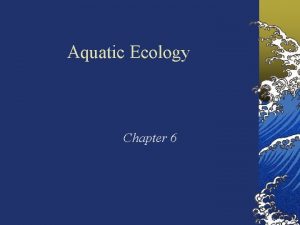 Aquatic Ecology Chapter 6 Coral Reefs What do