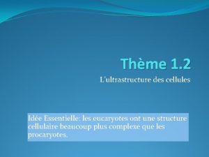 Thme 1 2 Lultrastructure des cellules Ide Essentielle
