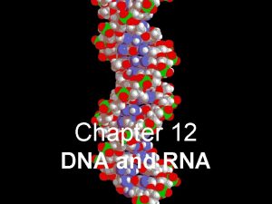 Chapter 12 dna and rna