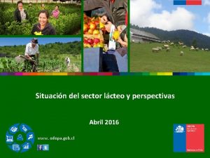Situacin del sector lcteo y perspectivas Abril 2016