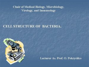 Chair of Medical Biology Microbiology Virology and Immunology