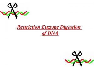 Restriction enzyme mapping