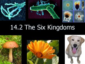 14 2 The Six Kingdoms C The Six