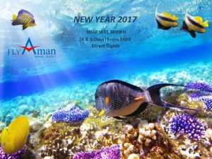 NEW YEAR 2017 SHARM EL SHEIKH 4 5