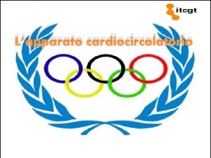 Miocardio endocardio y pericardio