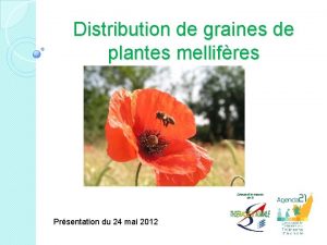 Distribution de graines de plantes mellifres Prsentation du