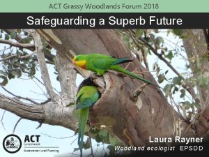 ACT Grassy Woodlands Forum 2018 Safeguarding a Superb
