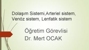 Dolam Sistemi Arteriel sistem Venz sistem Lenfatik sistem