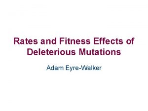 Rates and Fitness Effects of Deleterious Mutations Adam