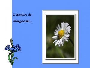 Lhistoire de Marguerite Voici lhistoire de Marguerite la
