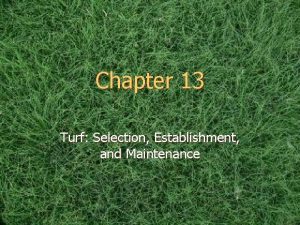 Chapter 13 Turf Selection Establishment and Maintenance Turfgrasses