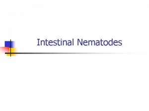 Intestinal Nematodes Classification of Parasites Protozoa Unicellular Single