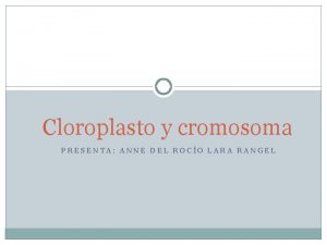 Cloroplasto y cromosoma PRESENTA ANNE DEL ROCO LARA