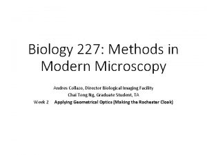 Biology 227 Methods in Modern Microscopy Andres Collazo