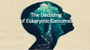 The Decoding of Eukaryotic Genomes Dr Hilal AY