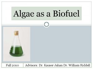 Algae as a Biofuel Fall 2010 Advisors Dr