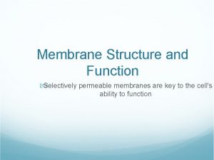 Membrane Structure and Function Selectively permeable membranes are