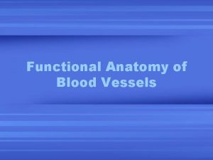 Functional Anatomy of Blood Vessels Special Circulations Right