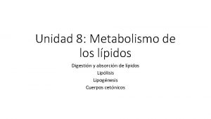 Unidad 8 Metabolismo de los lpidos Digestin y