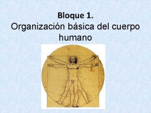 Bloque 1 Organizacin bsica del cuerpo humano 1