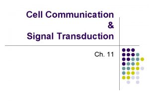 Cell signal transduction