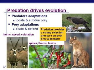 Predation drives evolution Predators adaptations u locate subdue