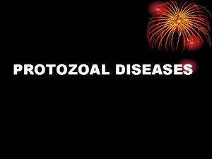 PROTOZOAL DISEASES In the blood Malaria Trypanosomiasis In