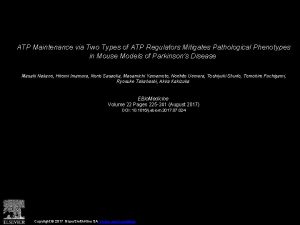 ATP Maintenance via Two Types of ATP Regulators